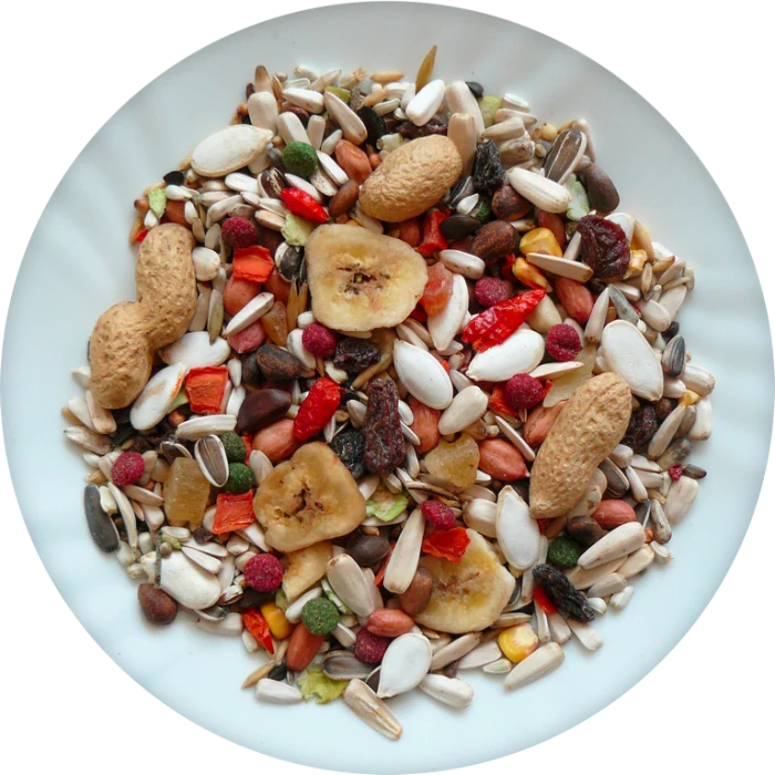 Avicentra Velký papoušek Deluxe 2,5 kg