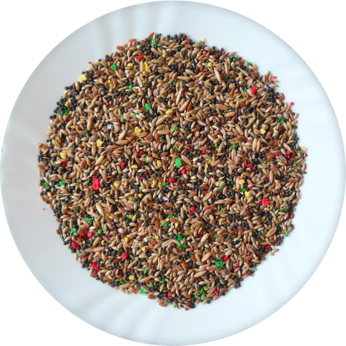 Avicentra Kanár deluxe 2,5kg