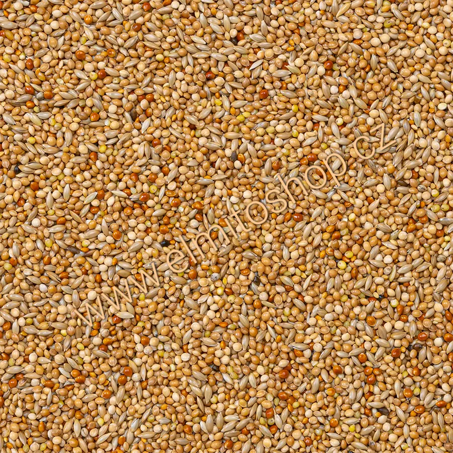 Deli Nature 40 - Foreign Finches Basic 20kg