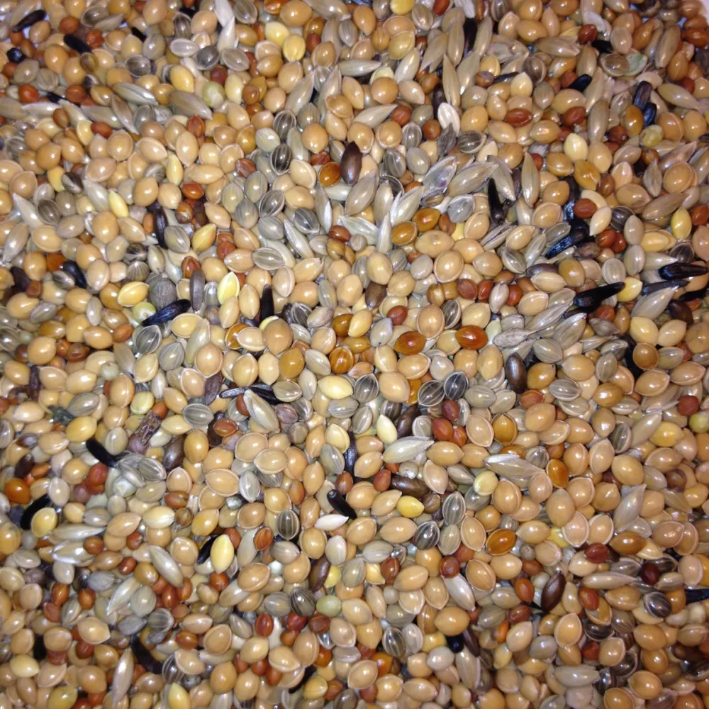 Avest Směs Zebřička 06 5kg