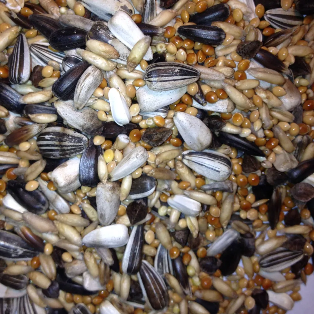 Avest Směs Střední papoušek 08 