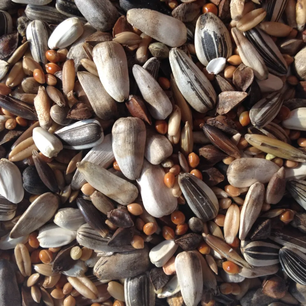 Avest Směs Střední papoušek 10 10kg