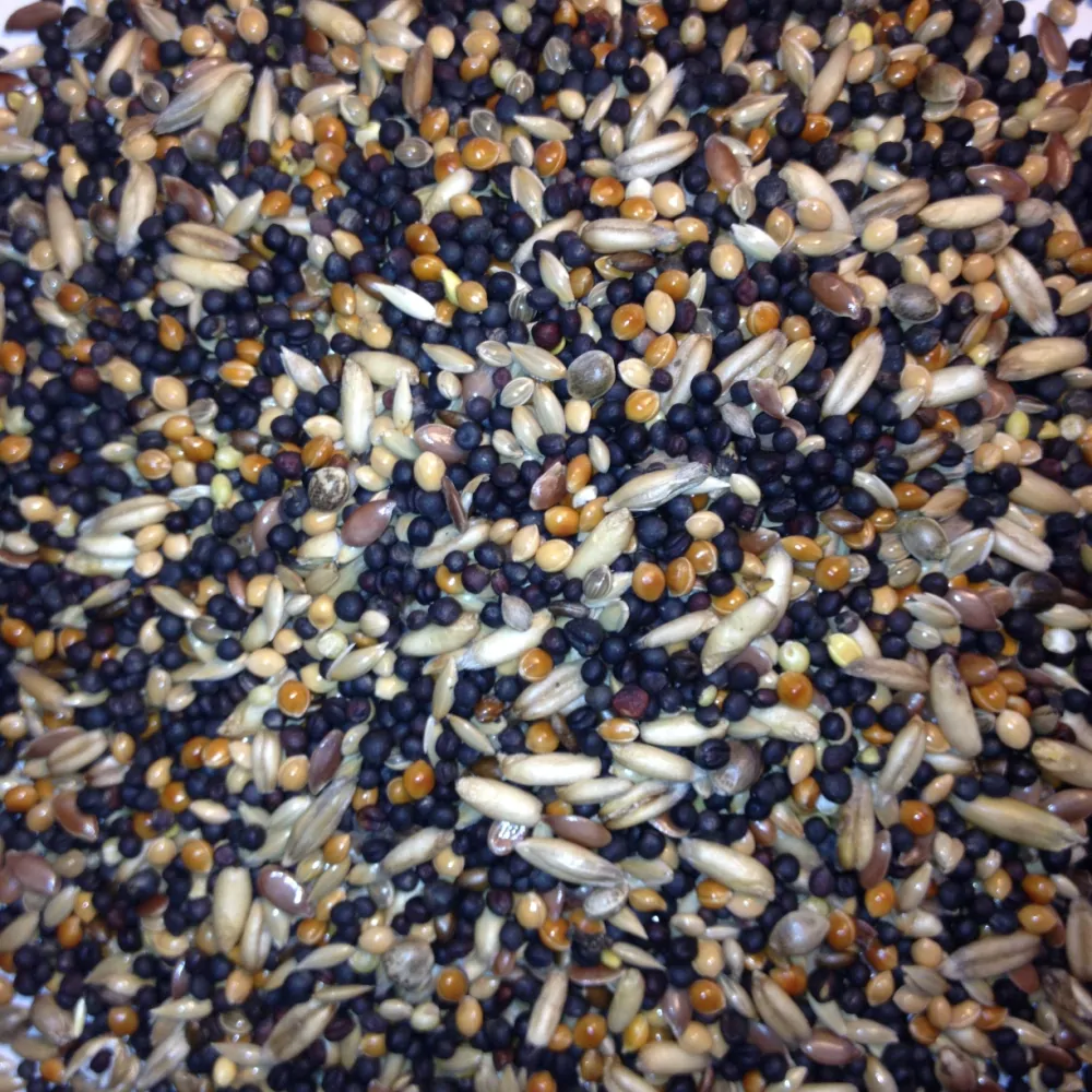 Avest Směs Kanár 13 