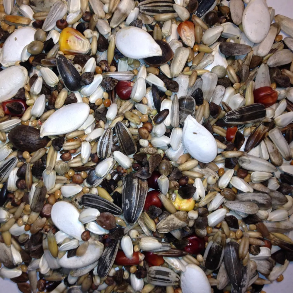 Avest Směs Velký papoušek 17 