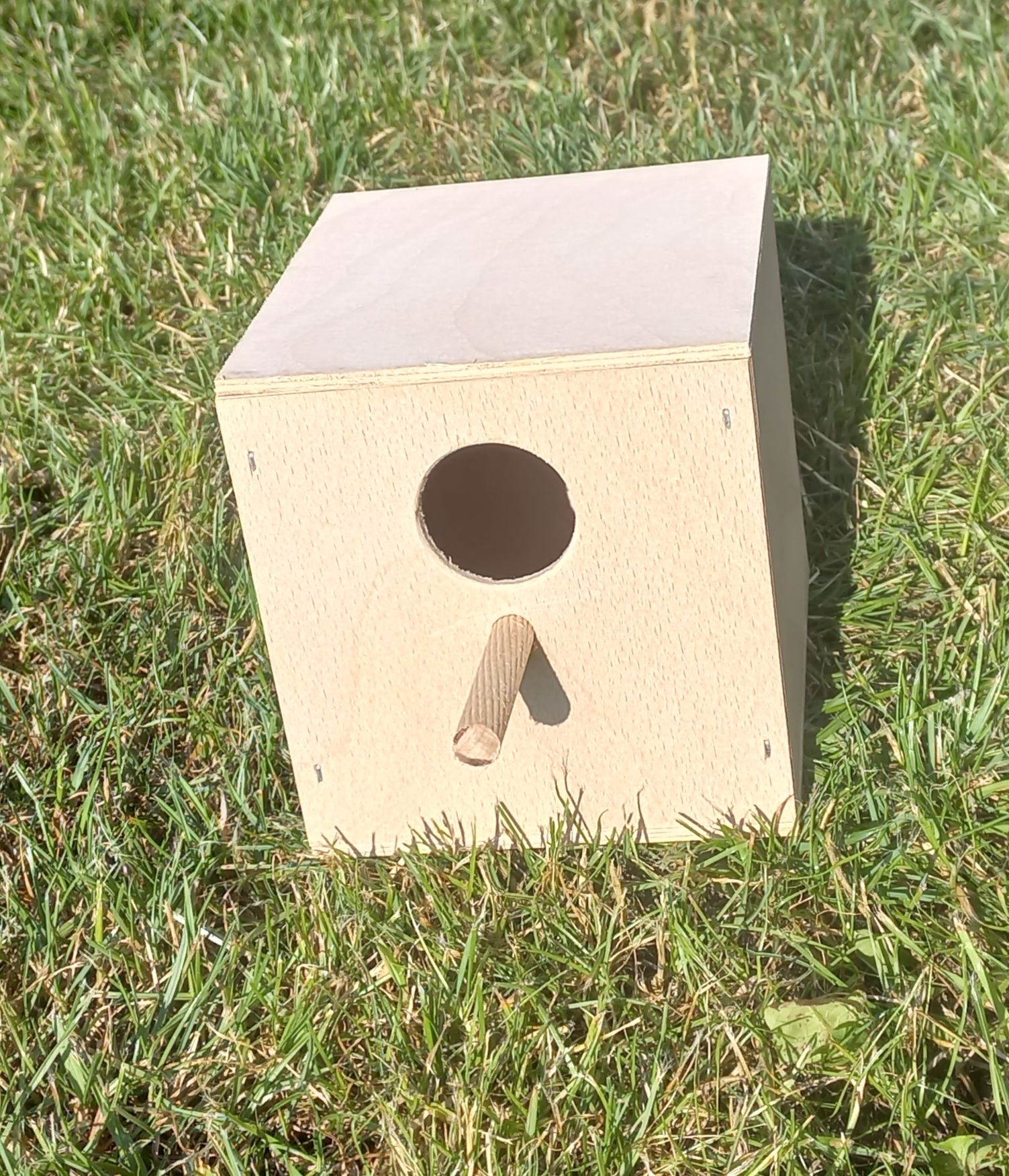 Hnízdní budka Amadina