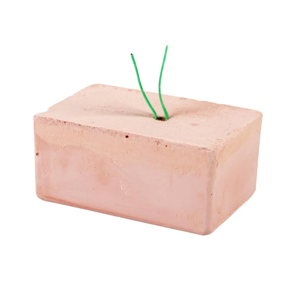 Witte Molen PLUS ENERGY BLOCK medium 1ks