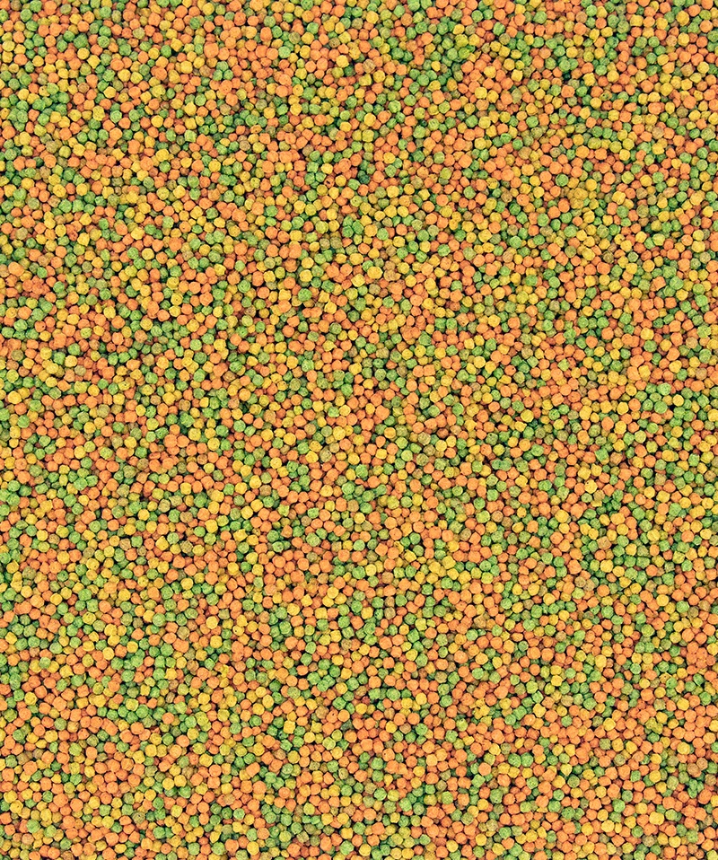 Versele-Laga NutriBird B18 