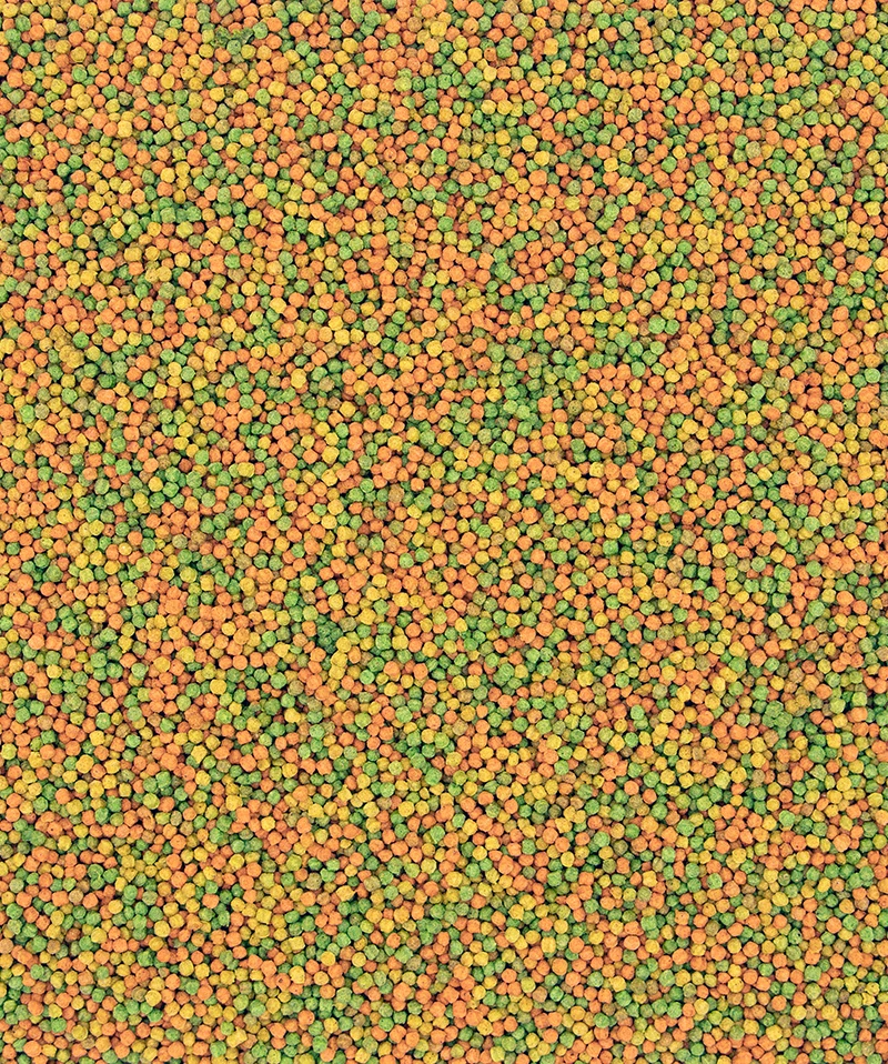 Versele-Laga NutriBird B14 3kg