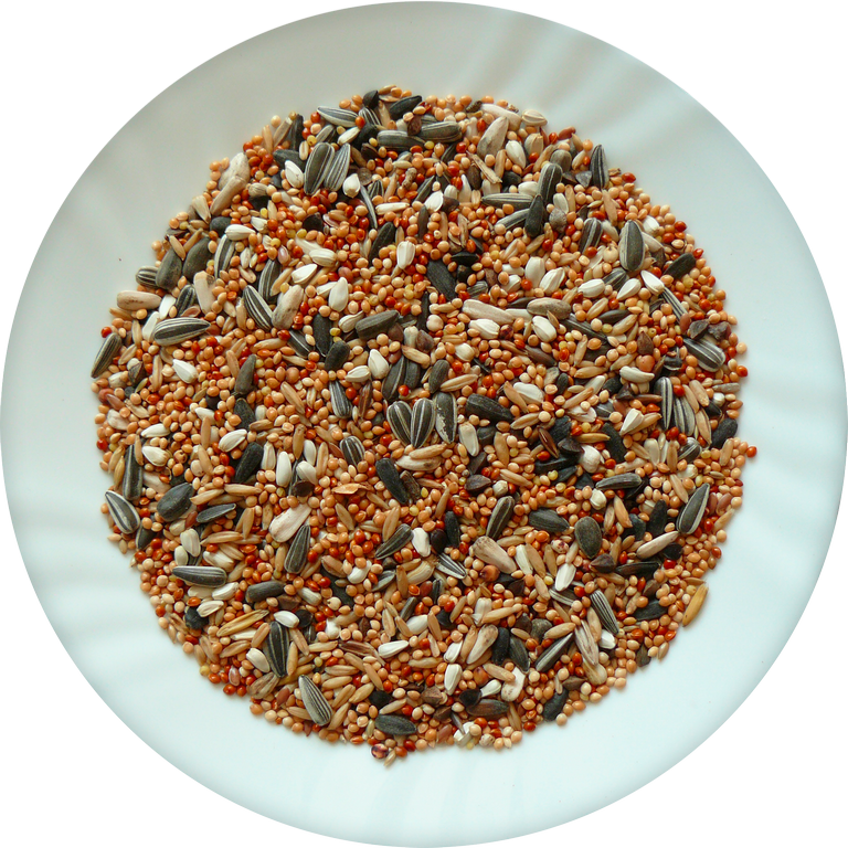 Avicentra Malý papoušek Classic menu 20kg