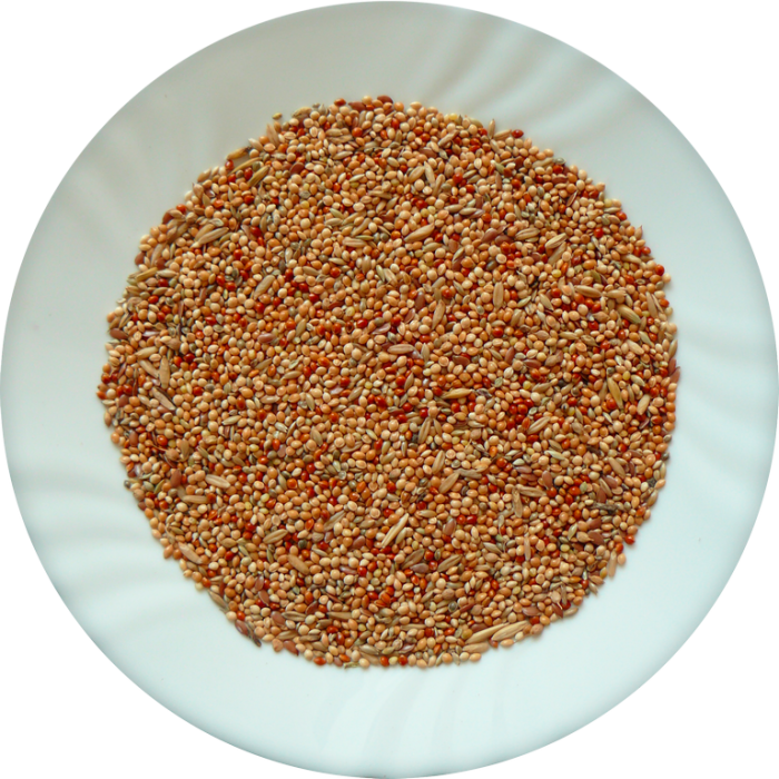 Avicentra Andulka Classic menu 20kg