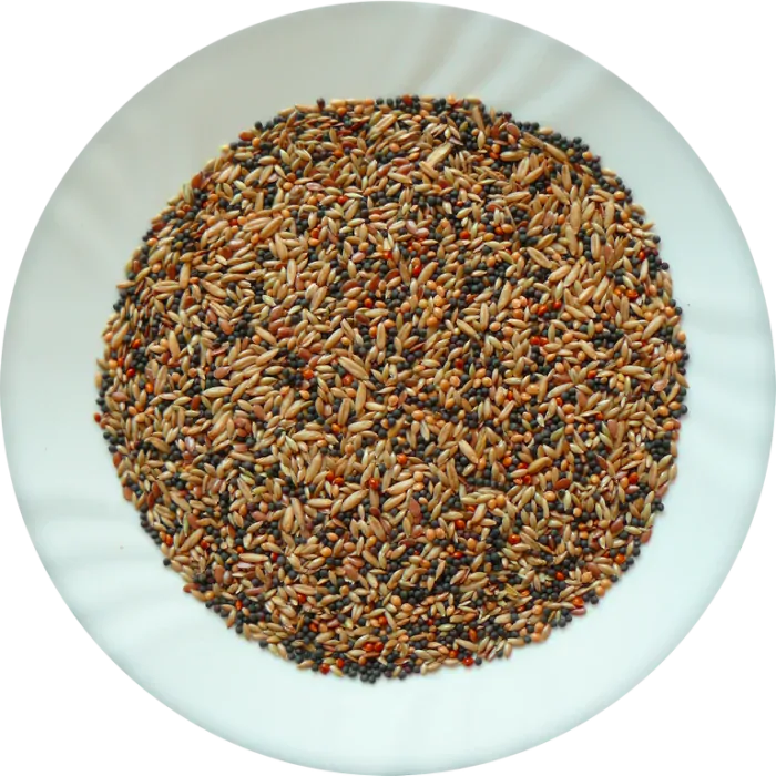 Avicentra Kanár Classic menu 1kg