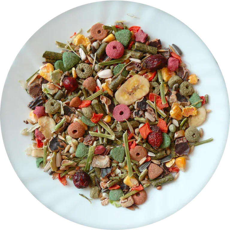 Avicentra Morče special 1kg