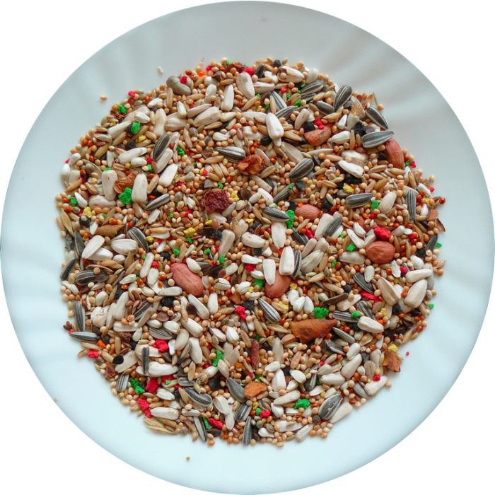 Avicentra Malý papoušek deluxe 20kg