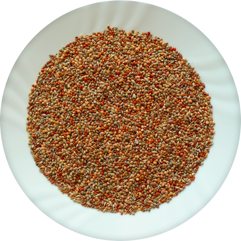 Avicentra Drobný exot classic menu 20kg