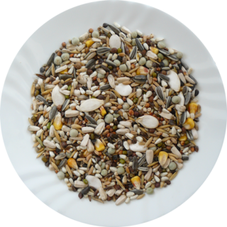 Avicentra Professional Velký papoušek nakličovací směs 