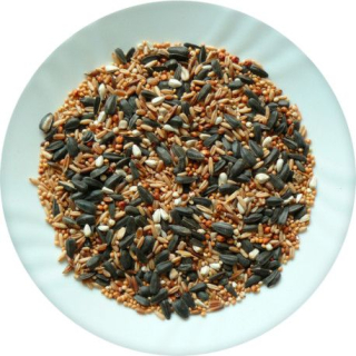 Avicentra Směs do krmítek 5kg