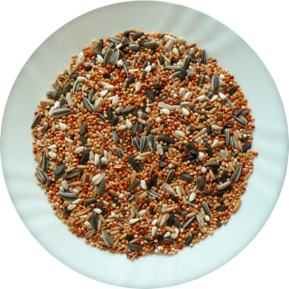 Avicentra Malý papoušek Classic menu 5kg