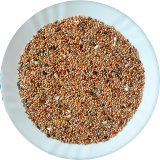 Avicentra Professional Neoféma 5kg