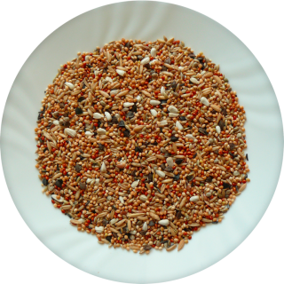 Avicentra Professional Agapornis 5kg