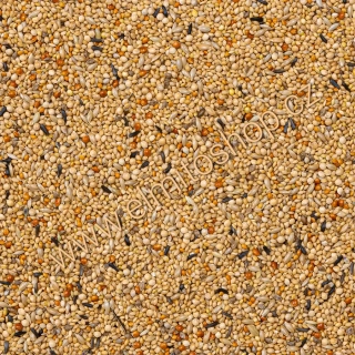 DELI NATURE 56 Foreign finches super 4kg