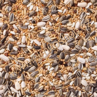 Deli Nature 30 Large Parakeets Basic 4kg