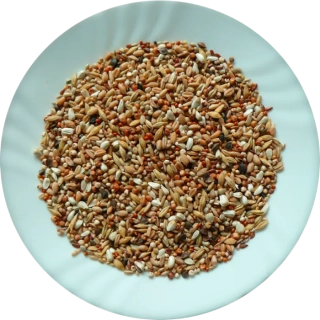 Avicentra Holub super dieta 