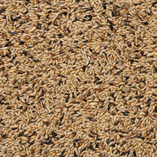 Deli Nature 80 - Canary Breeding Without Rapeseed 4kg 