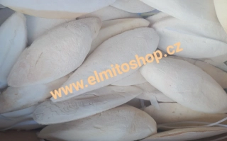 SÉPIOVÁ KOST 10 - 16 cm