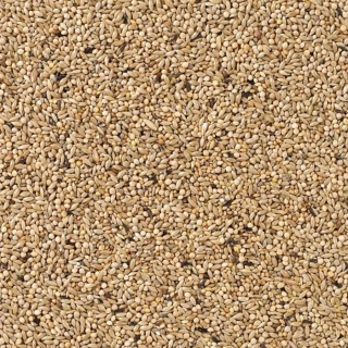 Deli Nature 85 Budgies Champion 4kg