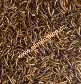 Mouční Červi Sušení 