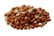 Podzemnice - ARAŠÍDY