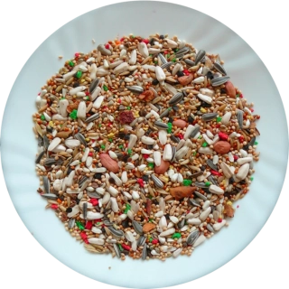 Avicentra Malý papoušek deluxe 2,5kg