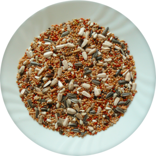 Avicentra Professional střední papoušek 20kg